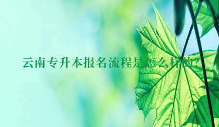 云南专升本报名流程是怎么样的？