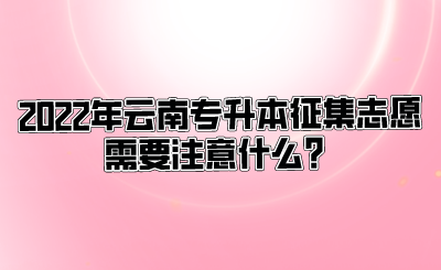 2022年云南专升本征集志愿需要注意什么？.png
