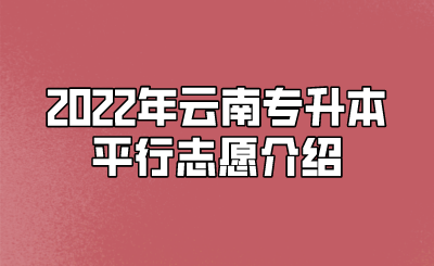 2022年云南专升本平行志愿介绍.png