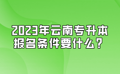 2023年云南专升本报名条件要什么？.png