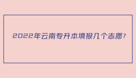 2022年云南专升本填报几个志愿？.jpg