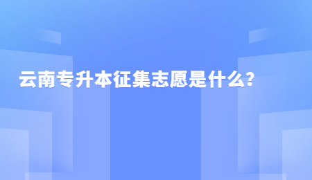 云南专升本征集志愿是什么？.jpg