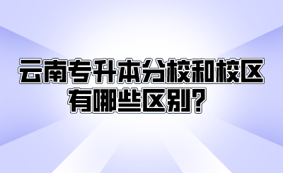 云南专升本分校和校区有哪些区别？.png