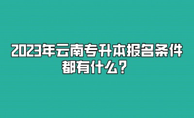 2023年云南专升本报名条件都有什么？.jpeg