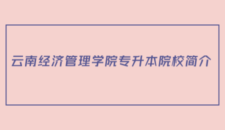 云南经济管理学院专升本院校简介.jpg