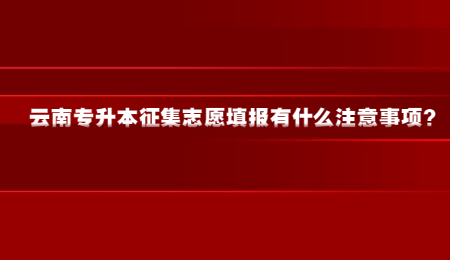 云南专升本征集志愿填报有什么注意事项？.jpg