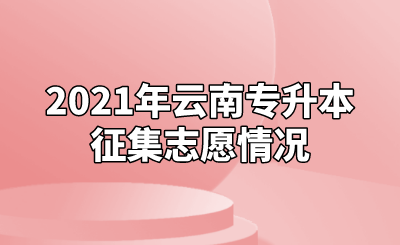 2021年云南专升本征集志愿情况.png