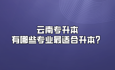 云南专升本有哪些专业最适合升本？.png