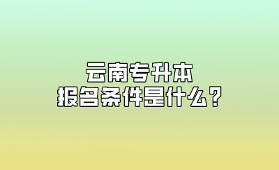 云南专升本报名条件是什么_.png