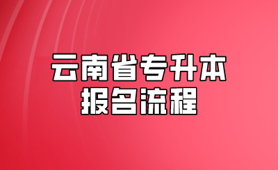 云南省专升本报名流程.png
