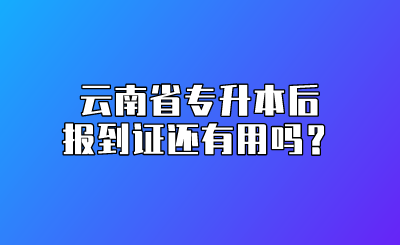 云南省专升本后报到证还有用吗？.png