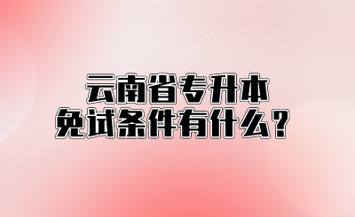 云南省专升本免试条件有什么？.png