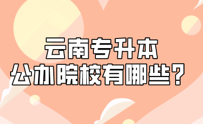 云南专升本公办院校有哪些？.png