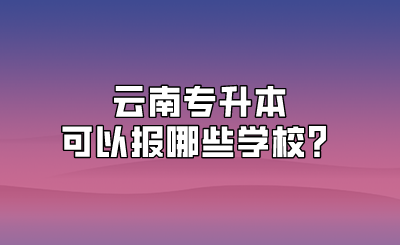 云南专升本可以报哪些学校？.png