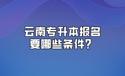 云南专升本报名要哪些条件？.png