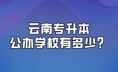 云南专升本公办学校有多少？.png