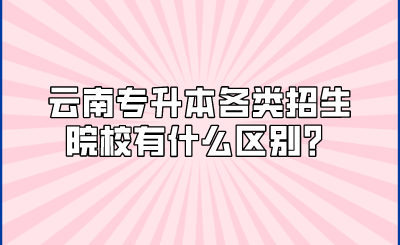 云南专升本各类招生院校有什么区别？.png