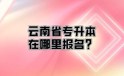 云南省专升本在哪里报名？.png