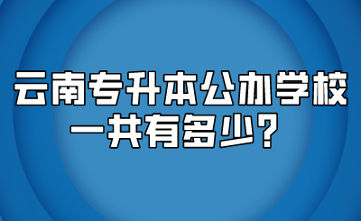 云南专升本公办学校一共有多少？.png