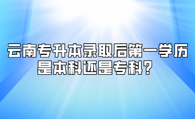 云南专升本录取后第一学历是本科还是专科？.png