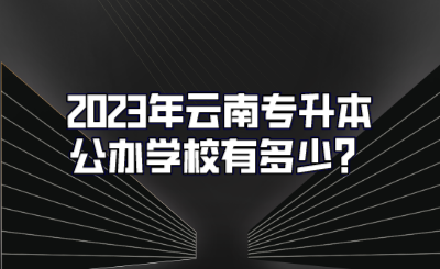 2023年云南专升本公办学校有多少？.png