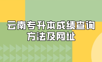 云南专升本成绩查询方法及网址.jpeg