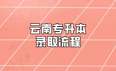 云南专升本录取流程.png