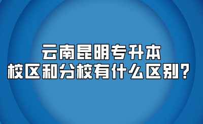 云南昆明专升本校区和分校有什么区别？.png