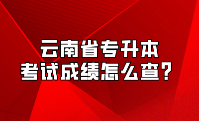 云南省专升本考试成绩怎么查？.png