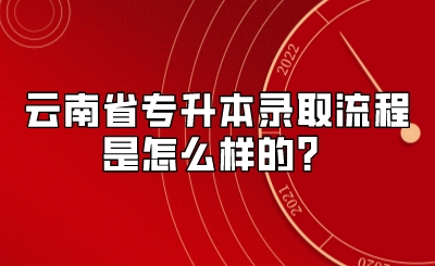 云南省专升本录取流程是怎么样的？.jpeg