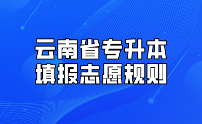 云南省专升本填报志愿规则.png