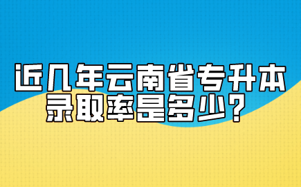 云南省专升本录取率