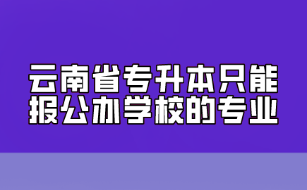 云南省专升本只能报公办学校的专业