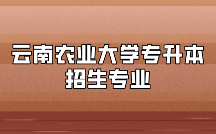 云南农业大学专升本招生专业