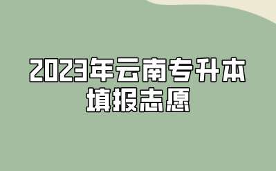 2023年云南专升本填报志愿