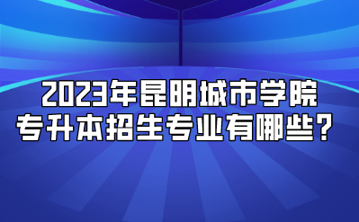 2023年昆明城市学院专升本招生专业