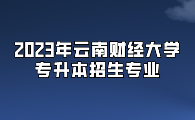 2023年云南财经大学专升本招生专业