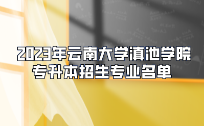 2023年云南大学滇池学院专升本招生专业