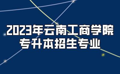 2023年云南工商学院专升本招生专业