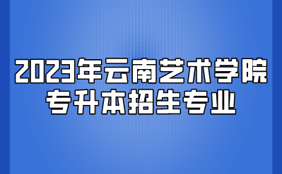 2023年云南艺术学院专升本招生专业
