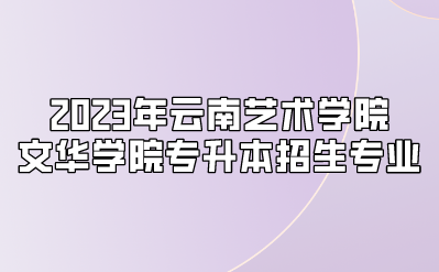 2023年云南艺术学院文华学院专升本招生专业