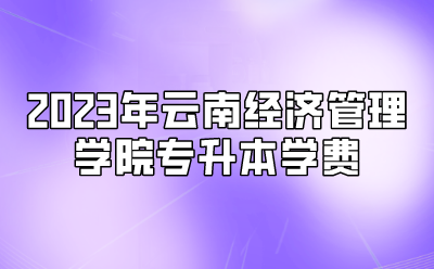 2023年云南经济管理学院专升本学费