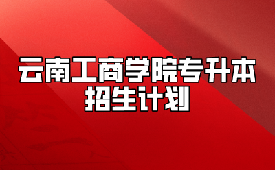 云南工商学院专升本招生计划