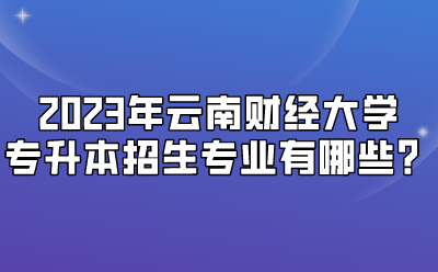 2023年云南财经大学专升本招生专业