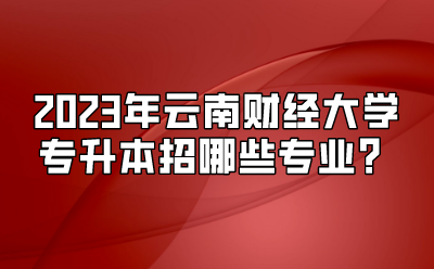 2023年云南财经大学专升本招哪些专业？