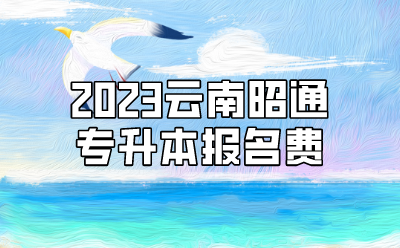 2023云南昭通专升本报名费