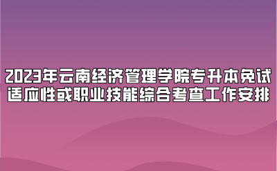 2023年云南经济管理学院专升本免试适应性或职业技能综合考查工作安排
