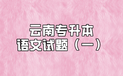 云南专升本语文试题（一）