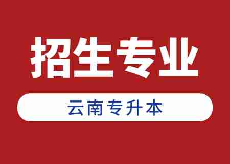 2024年云南专升本招生人数最多专业——会计学.jpg