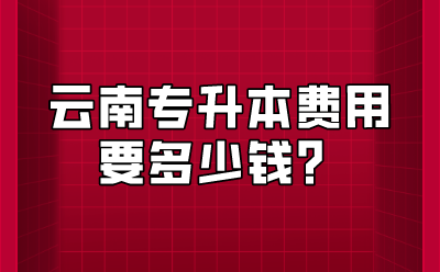 云南专升本费用要多少钱？